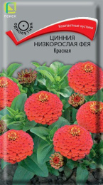 Цинния Фея красная низкорослая 0,1г цветной пакет Поиск