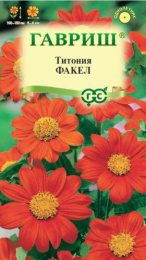 Титония Факел 0,3г цветной пакет Гавриш