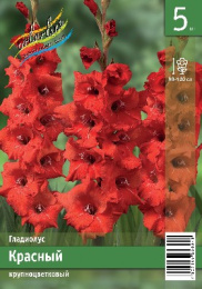 Гладиолус Красный 10/12  5шт. Эконом Colorline