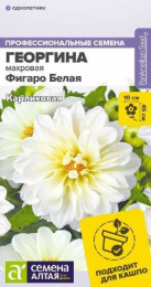Георгина Фигаро Белая махровая 5шт. цветной пакет Семена Алтая