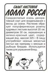 Салат листовой Лолло Росса  0,5г белый пакет Семена Алтая