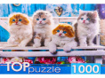 Пазлы 1000 элементов Котята Скоттиш Фолд ШТТП1000-4154