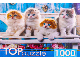 Пазлы 1000 элементов Котята Скоттиш Фолд ШТТП1000-4154