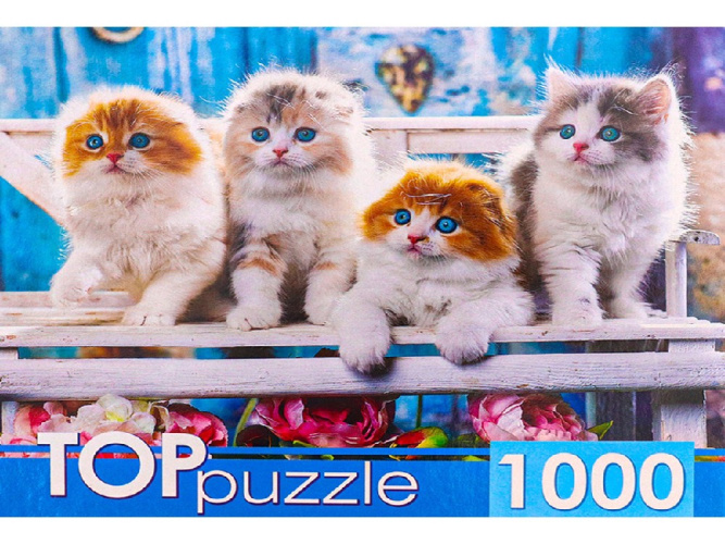 Пазлы 1000 элементов Котята Скоттиш Фолд ШТТП1000-4154
