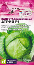 Капуста белокочанная Атрия F1 10шт. для квашения цветной пакет Семена Алтая