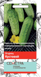 Огурец Кустовой  0,5г цветной пакет серия Семетра Поиск