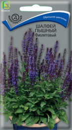 Шалфей Пышный Фиолетовый 0,1 цветной пакет Поиск