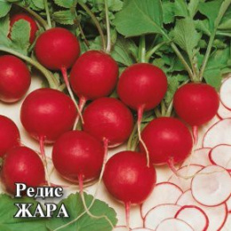 Редис Жара  25г фермерский пакет Гавриш