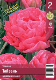 Тюльпан Тайвань  2шт. Эконом Colorline