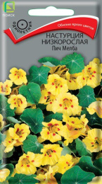 Настурция Пич Мелба низкорослая 1г цветной пакет Поиск