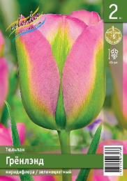 Тюльпан Грёнлэнд  2шт. Эконом Colorline