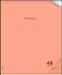 Тетрадь  48 листов Неон Orange, пластиковая обложка 48-1373
