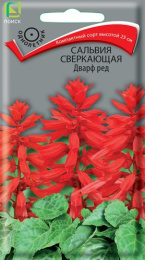 Сальвия Дварф ред сверкающая 0,1г цветной пакет Поиск