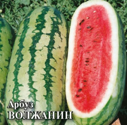 Арбуз Волжанин 50г фермерский пакет Гавриш