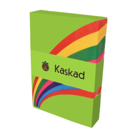 Бумага А4 Kaskad салатовый 80г 500 листов 608.066