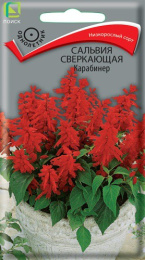 Сальвия Карабинер сверкающая 0,1г цветной пакет Поиск