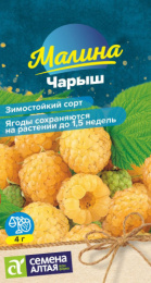 Малина Чарыш желтая 0,3г цветной пакет Семена Алтая