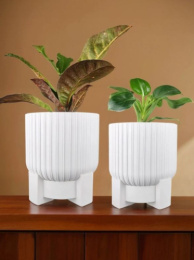 Горшок для цветов пластиковый Торин со съемным поддоном 9,5л d-25см белый 5plast 5PL0791