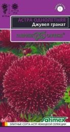 Астра Джувел Гранат игольчато-коготковая 0,05г цветной пакет серия Эксклюзив Гавриш