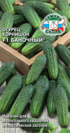 Огурец Баночный F1 0,3г цветной пакет Седек