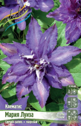 Клематис Мария Луиза 2шт. Colorline