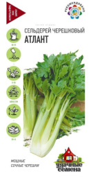 Сельдерей черешковый Атлант 0,1г цветной пакет серия Удачные семена Гавриш