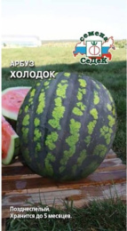 Арбуз Холодок  1г цветной пакет Седек