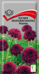 Космея Махровая кнопка Бордовая 0,1г цветной пакет Поиск