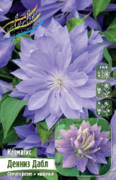 Клематис Денниз Дабл 2шт. Colorline