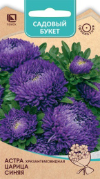 Астра Царица синяя хризантемовидная 0,1г цветной пакет серия Садовый букет Поиск