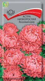 Астра Лососевый ковер низкорослая 0,2г цветной пакет Поиск
