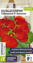 Кальцеолярия Гибридная красная F1 3шт. цветной пакет Семена Алтая