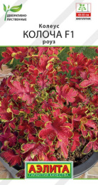Колеус Колоча роуз F1 5шт. цветной пакет Аэлита