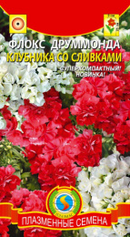 Флокс Клубника со сливками махровый 6шт. цветной пакет Плазменные семена