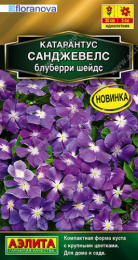 Катарантус Санджевелс блуберри шейдс 7шт. цветной пакет Аэлита