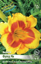 Лилейник Фулед Ми 1шт. Colorline