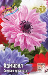 Анемона Адмирал  5шт. Эконом Colorline