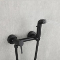 Смеситель с гигиеническим душем Frud R7503-6 Frud 42887