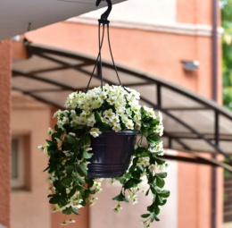 Кашпо подвесное пластиковое Глория с поддоном d-25см 4,2л антрацит 5plast 5PL0119