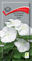 Катарантус розовый Халиф 0,1г цветной пакет Поиск