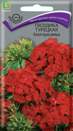 Гвоздика турецкая (бородатая) Алая красавица 0,5г цветной пакет Поиск