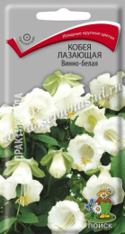 Кобея Винно-белая лазающая 5шт. цветной пакет Поиск