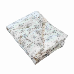 Одеяло 140х205см Силиконизированное волокно (п/э) в пакете Коллекция Эконом ДомВелл 