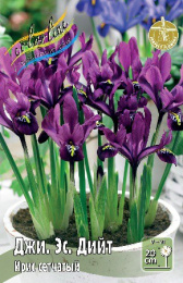 Ирис сетчатый Джи.Эс.Дийт 10шт. Colorline