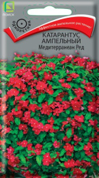 Катарантус Медитерранеан Ред ампельный 10шт. цветной пакет Поиск