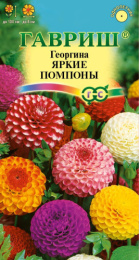 Георгина Яркие помпоны 0,2г цветной пакет Гавриш