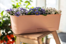 Ящик для цветов балконный пластиковый  40х17х13см Прованс с поддоном 6л, пудра 5plast 5PL0340