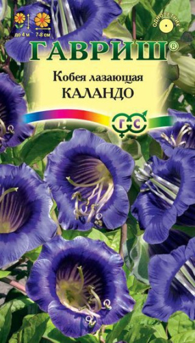 Кобея Каландо лазающая 5шт. цветной пакет Гавриш