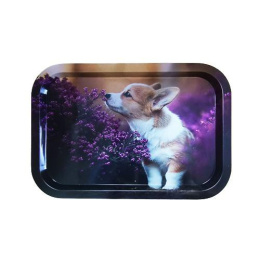 Поднос жестяной прямоугольный 23,3х34,3х1,5см Корги Мирхозторг 7007