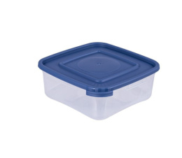 Контейнер для СВЧ пластиковый 0,70л квадратный Каскад Квадро Полимербыт С640